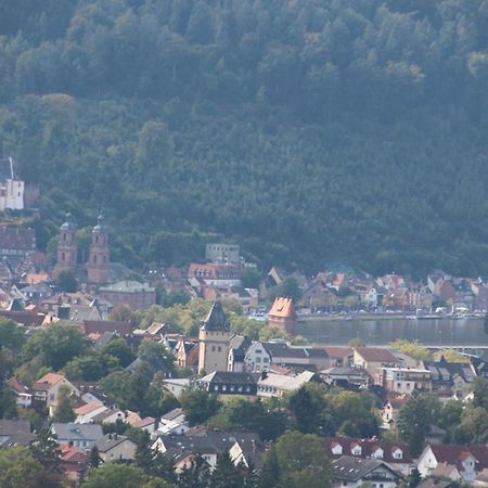 Ferienwohnung Auf Schaefers Spuren Bürgstadt Exteriér fotografie